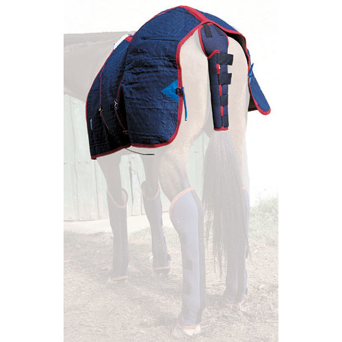 Cobertura azul escura com bordas vermelhas para cavalo branco