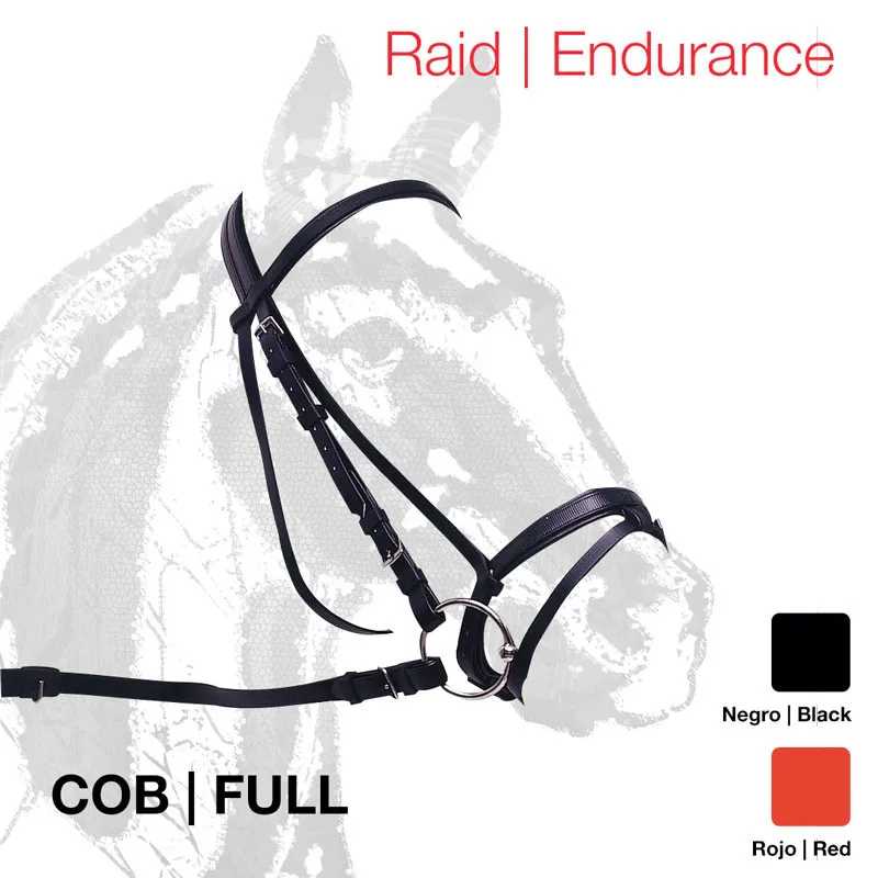 Cabresto de couro preto para cavalo com fivelas metálicas e texto associado