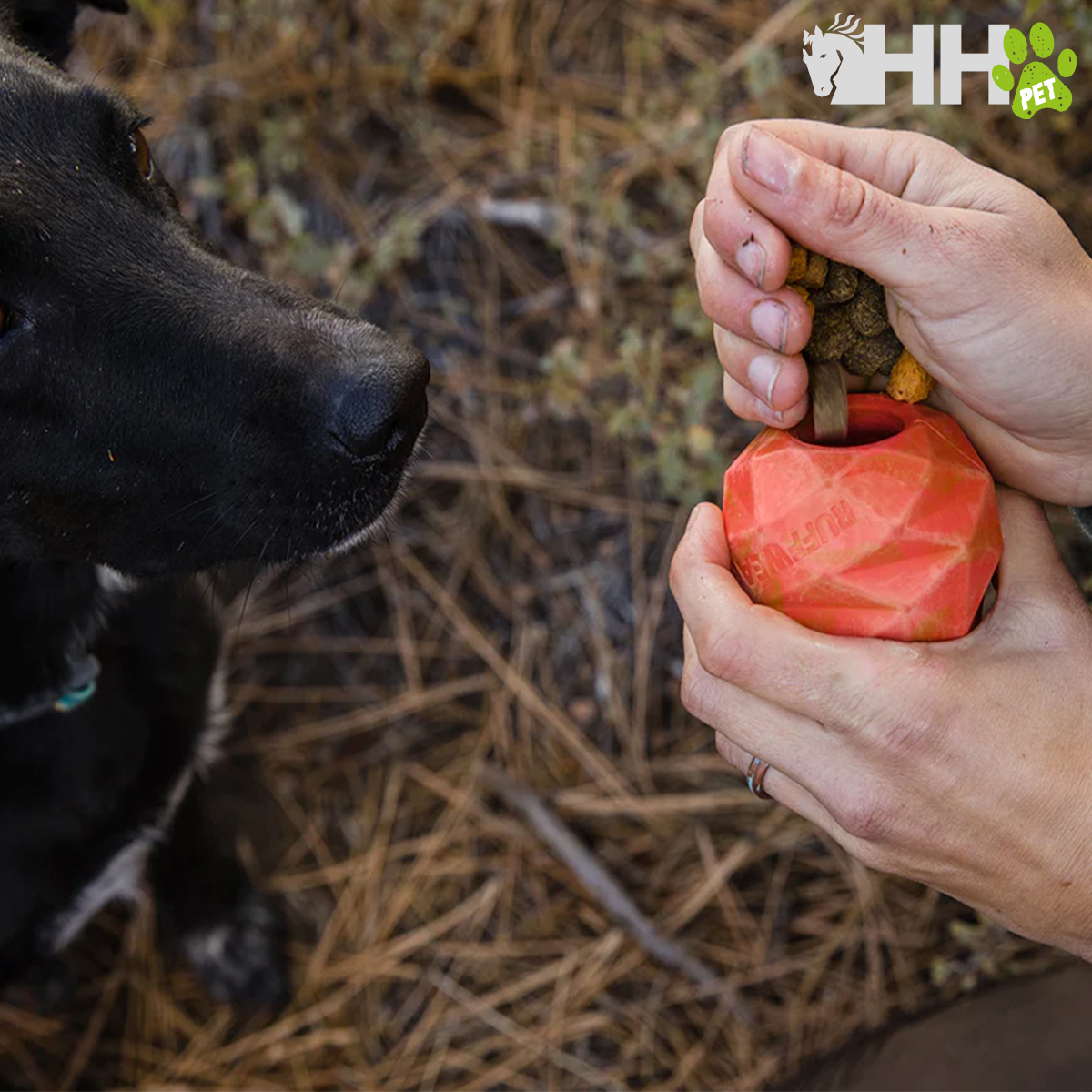 Brinquedo para cães vermelho em forma de maçã sendo preenchido com ração, cão preto ao lado.