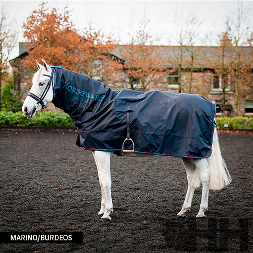 Cavalo branco com manta azul-marinho 'HORSEWARE' ao ar livre