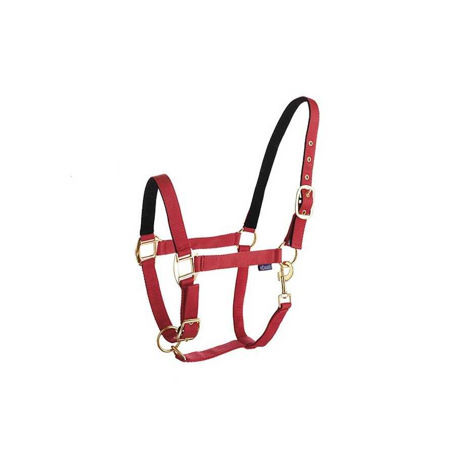 Cabresto de cavalo vermelho com detalhes pretos e fivelas douradas