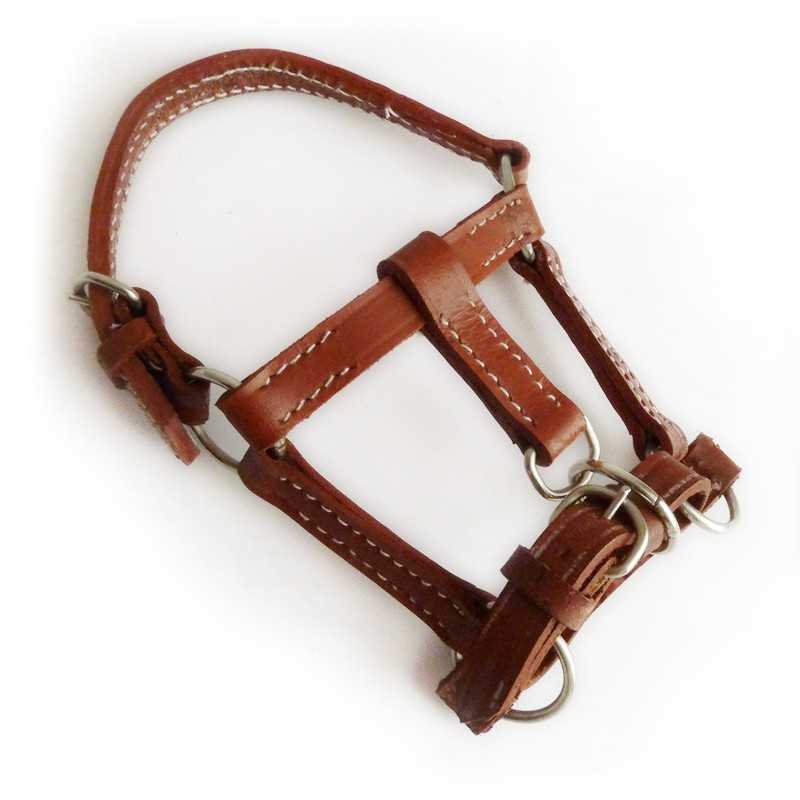 Cabresto castanho em pele com fivelas metálicas