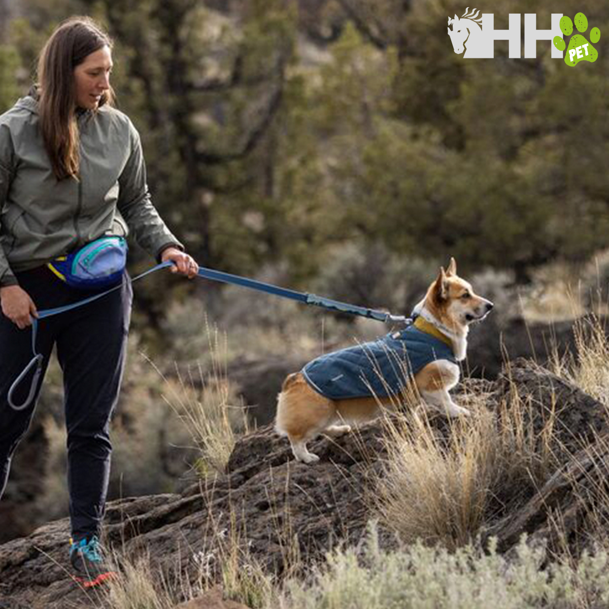 Mulher a passear cão Corgi com casaco azul em ambiente natural