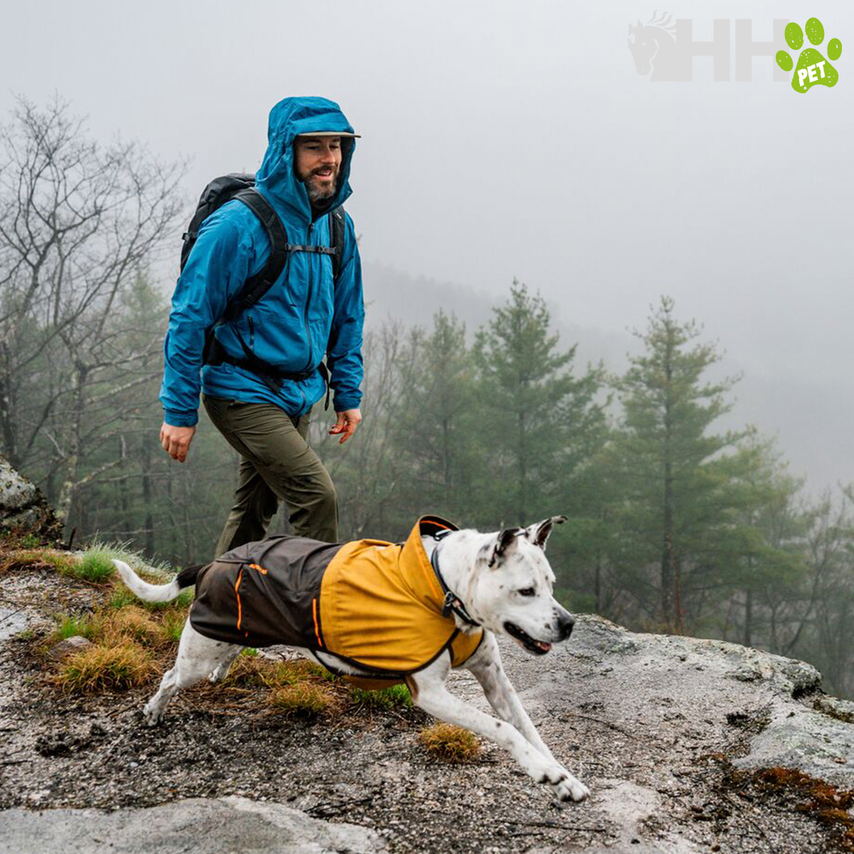 Homem com anorak azul e cão com casaco amarelo numa caminhada em montanha