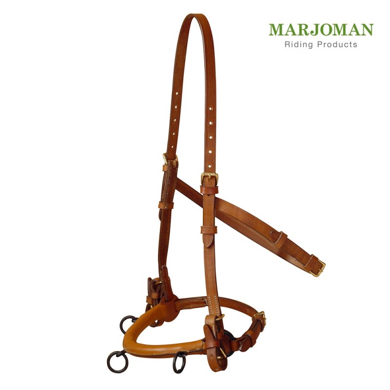 Caveção de equitação em pele castanha com fivelas douradas