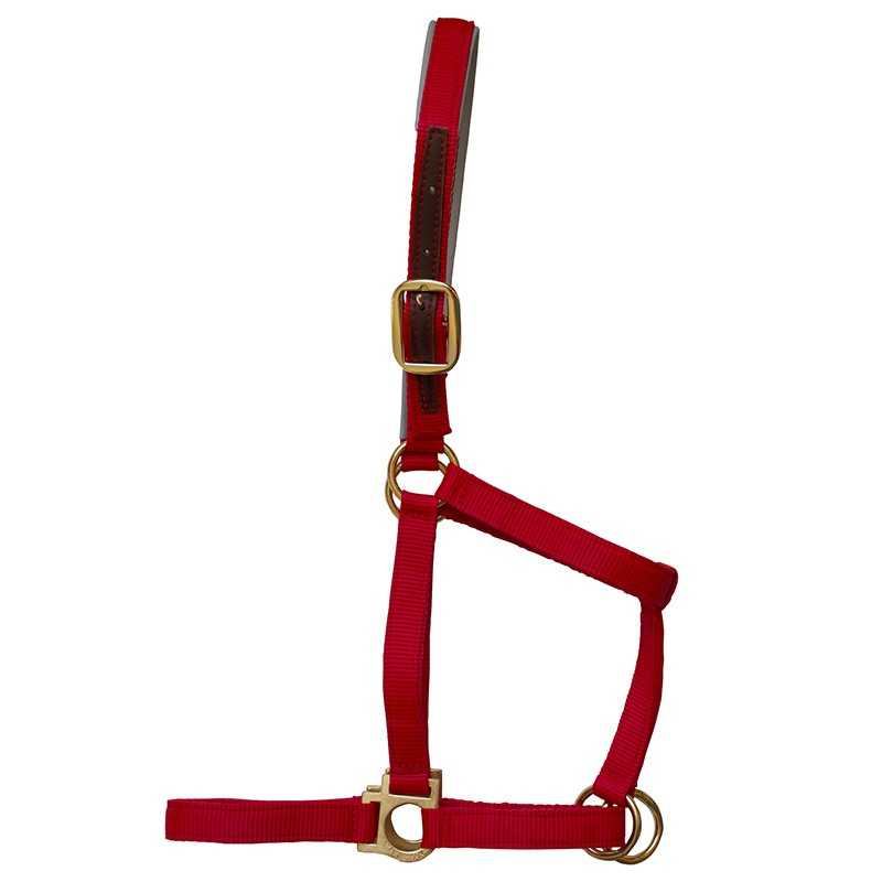 Cabresto para cavalo vermelho com fivelas douradas