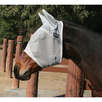 Cavalo castanho com máscara branca de proteção para os olhos e orelhas, junto a vedação de madeira.