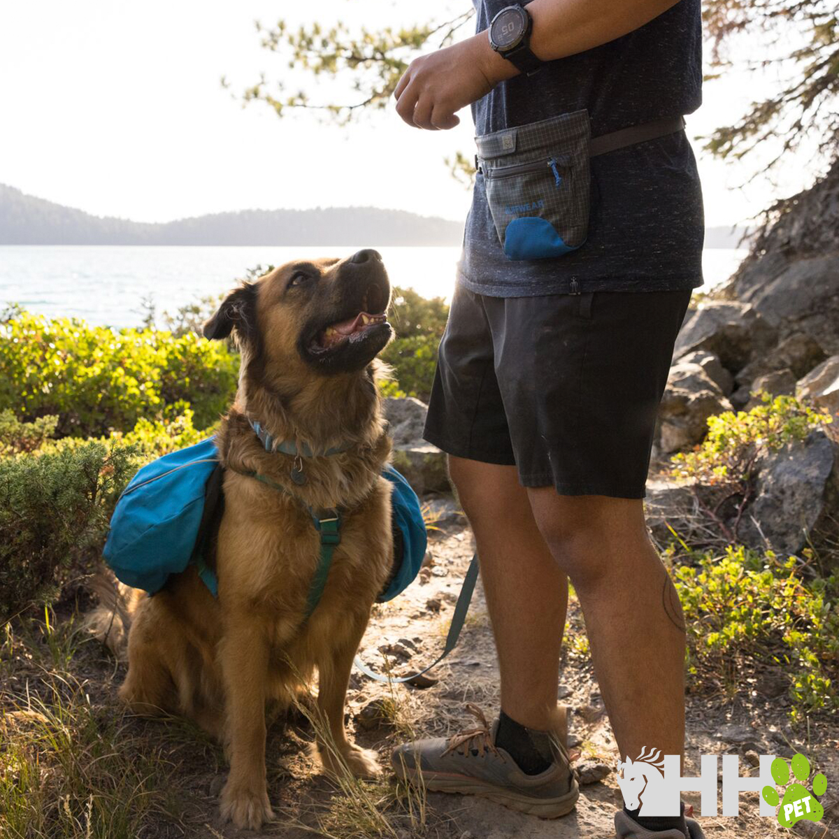 Cão com mochila azul junto a pessoa em margem rochosa com vegetação e água ao fundo