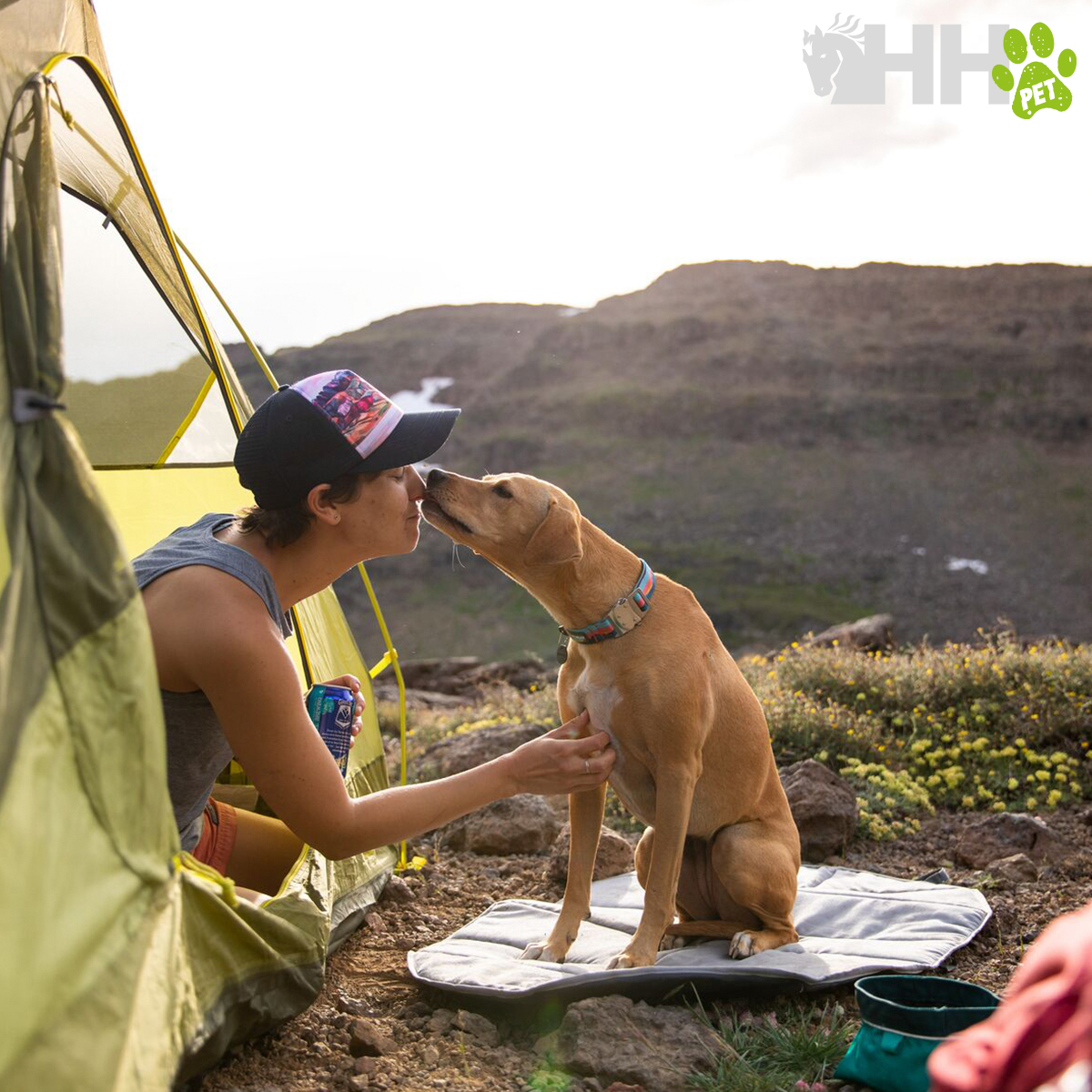 Mulher beijando cão sentado numa almofada fora de uma tenda ao ar livre numa paisagem de colinas