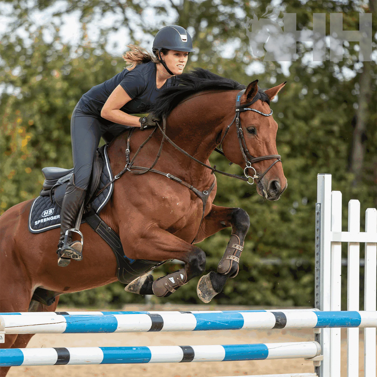 Cavaleira e cavalo a saltar obstáculos outdoors
