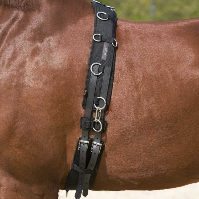 Cinturão de tração preto com argolas metálicas em cavalo castanho