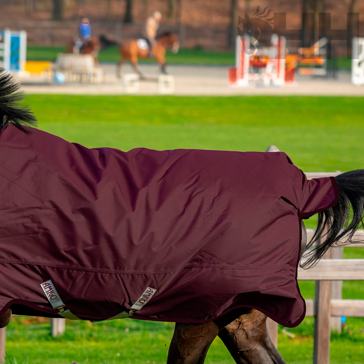 Cobertura vinho para cavalo em ambiente exterior com relva e pista de salto ao fundo