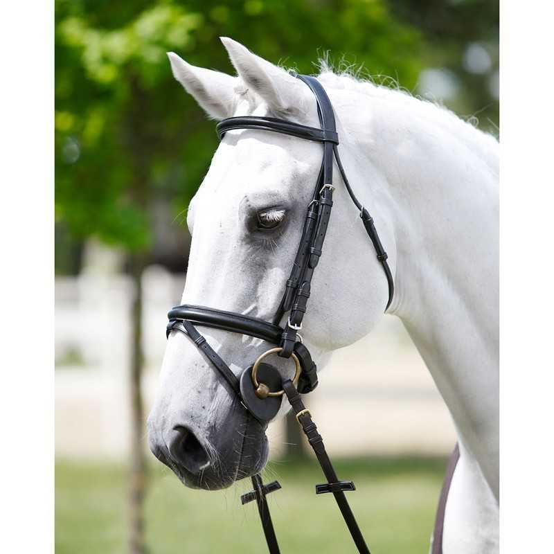 Cavalo branco com cabresto e rédeas de couro preto em ambiente exterior