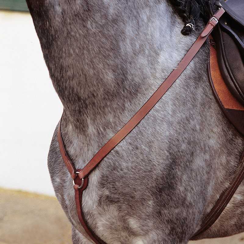 Arnês de couro castanho em cavalo cinzento com sela