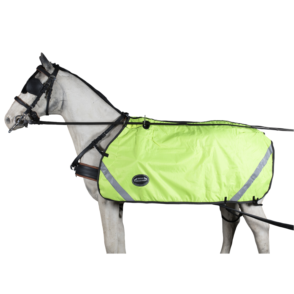 Cavalo branco com capa impermeável verde fluorescente com faixas refletoras.