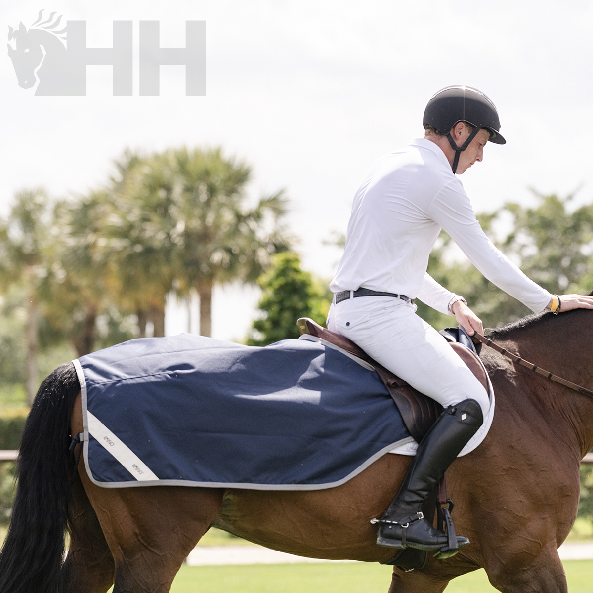 Cavalo castanho com cobertor azul escuro e cavaleiro vestido de branco e preto ao ar livre.