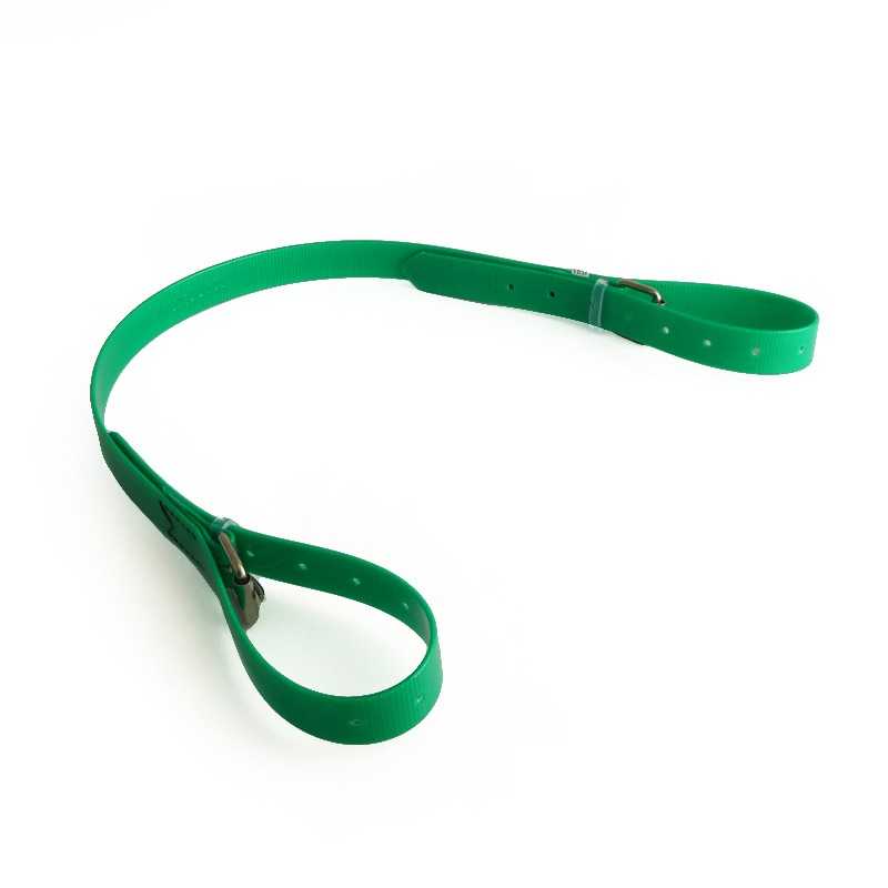 Coleira verde com fivela metálica ajustável