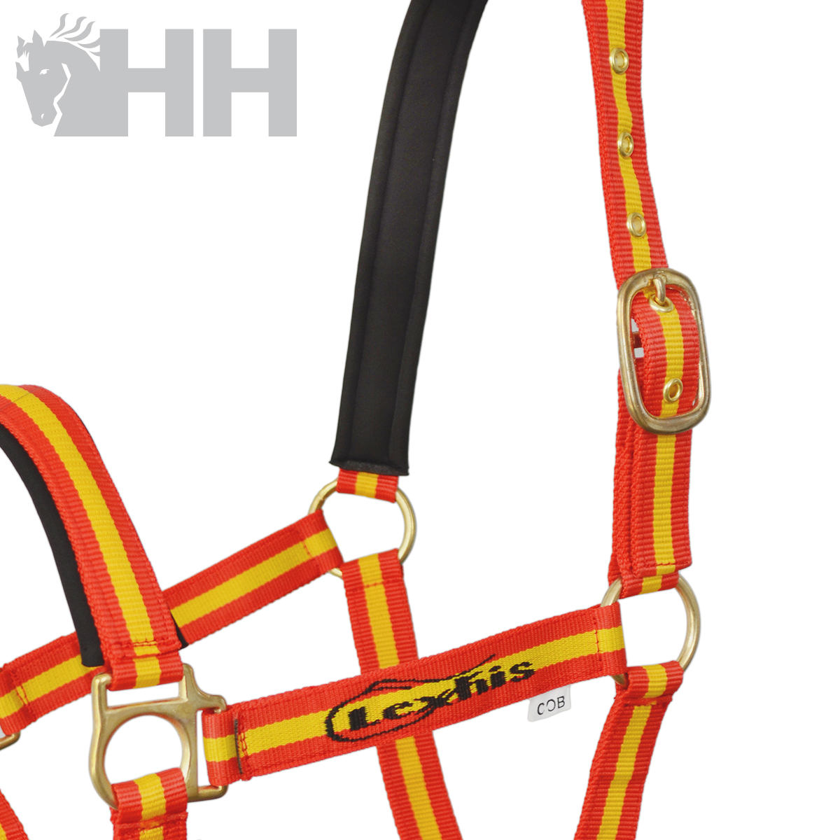 Cabresto para cavalo listrado amarelo e vermelho com fivelas douradas e etiqueta lexhis