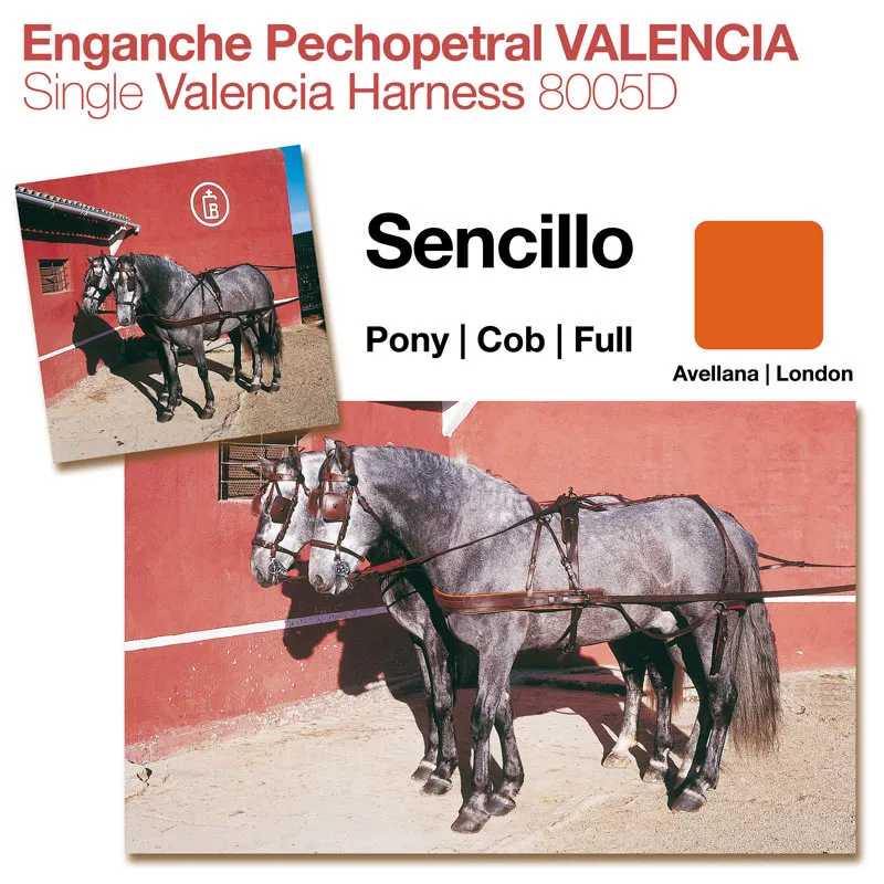 Enganche pechopetral Valencia castanho-avellana com cavalos cinzentos atrelados
