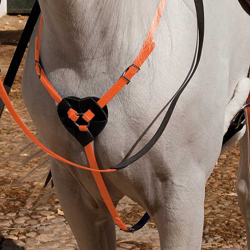 Peitoral laranja com motivo em coração preto num cavalo branco