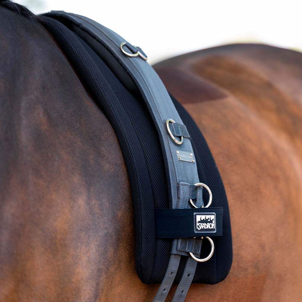 Barrigueira cinzenta e preta com argolas metálicas num cavalo castanho