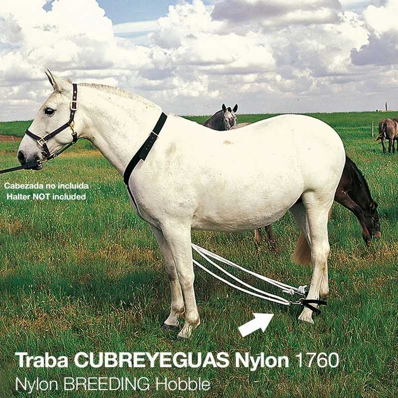 Traba cubre yeguas em nylon preto em potro branco no campo