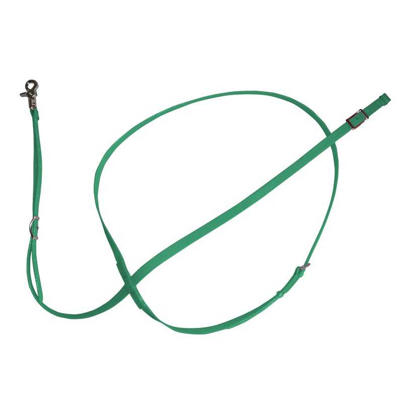 Trela de cão ajustável de nylon verde com gancho metálico