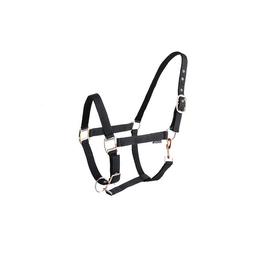 Cabresto preto de nylon com fivelas e anéis metálicos