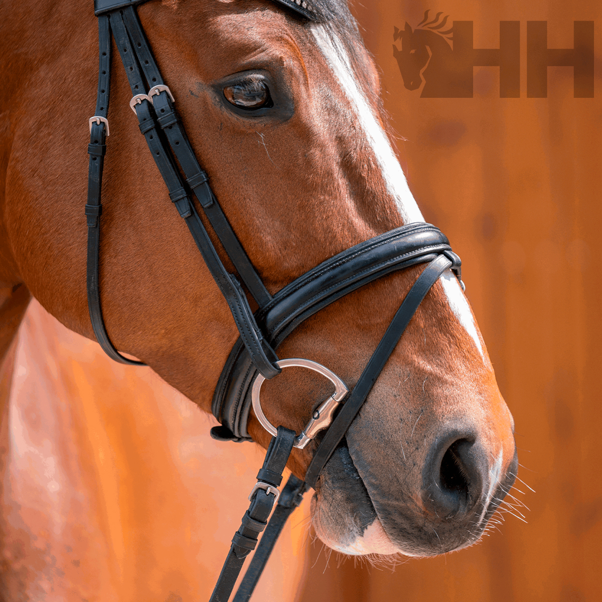 Cabeca de cavalo com arreio preto e logotipo HH em fundo laranja