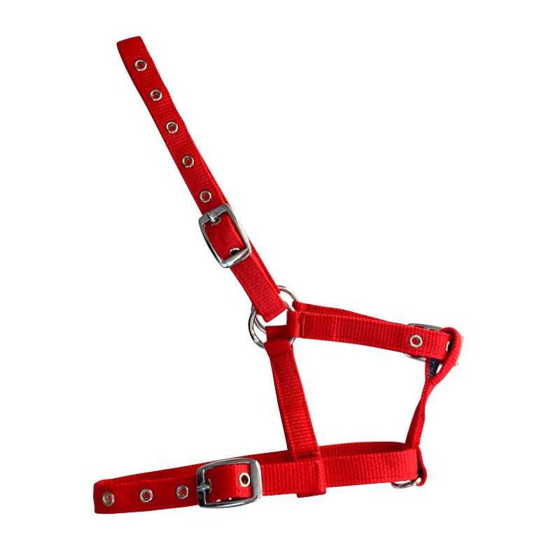 Cabresto de cavalo vermelho com fivelas e anéis metálicos