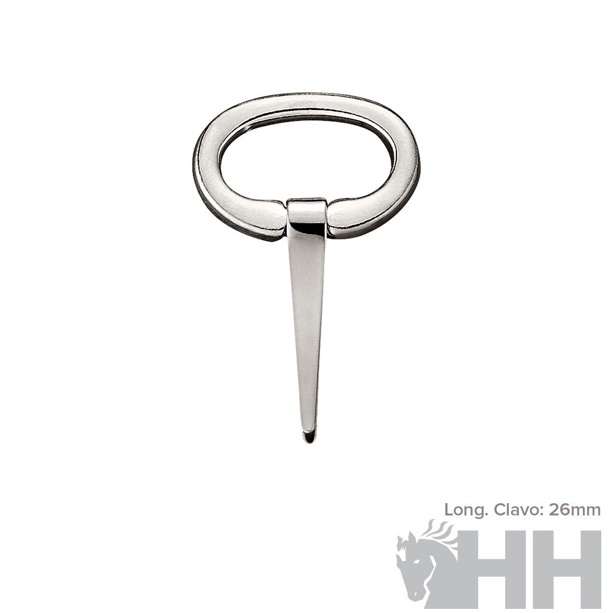 Prego metálico prateado com cabeça oval e fundo branco