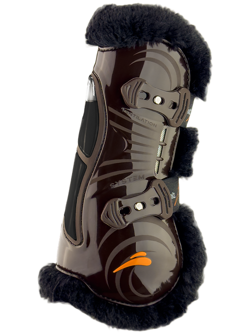 Protector equino castanho brilhante com pelo negro e fivelas cinzentas