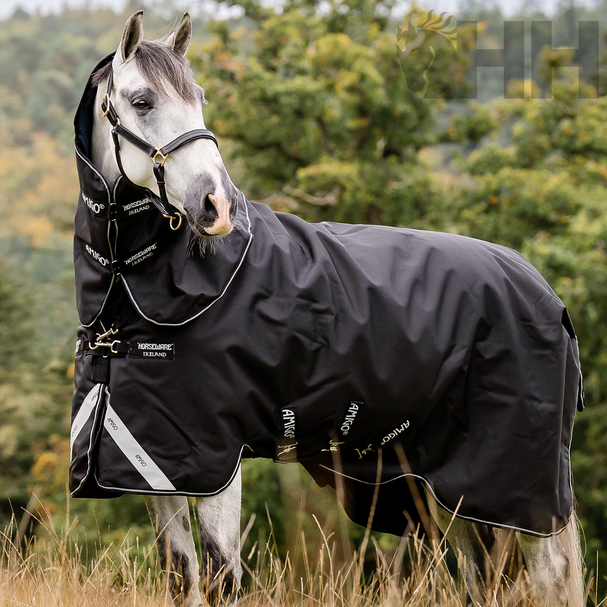 Cavalo cinzento com manta preta impermeável HORSEWARE IRELAND ao ar livre