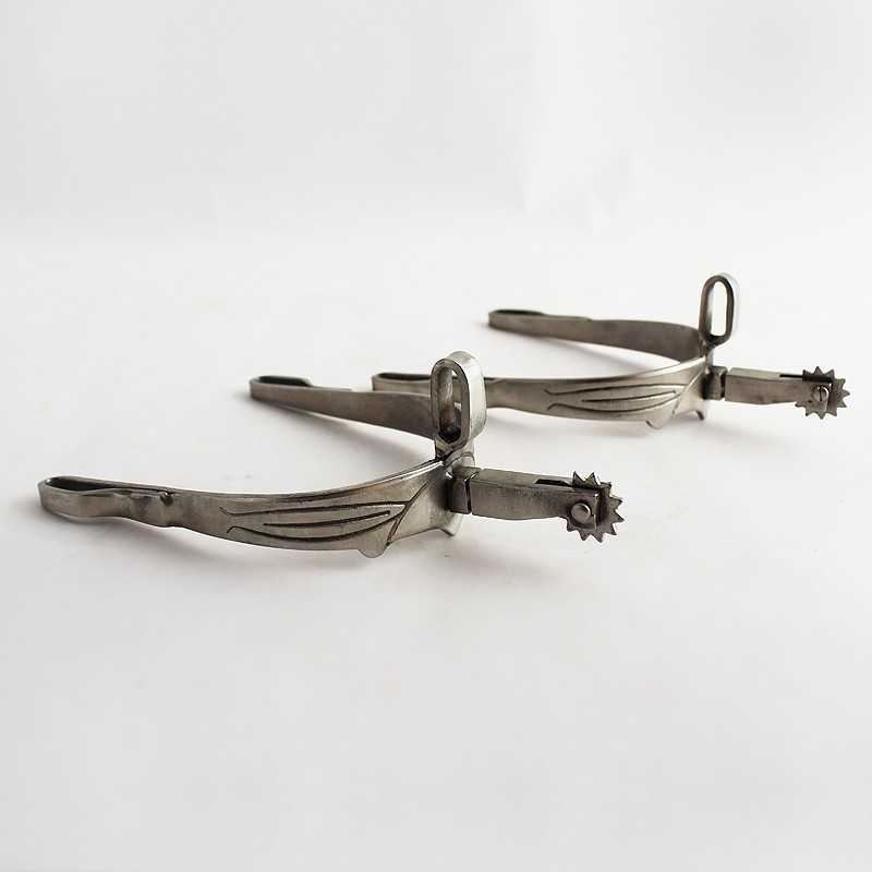 Par de esporas de metal prateado com rodas dentadas