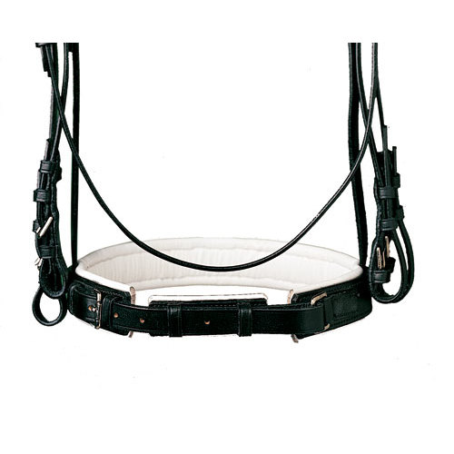 Freio e cabeçada em couro preto com interior branco