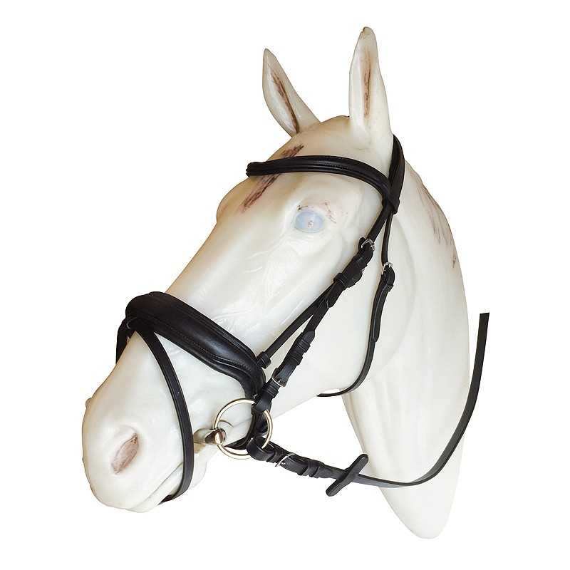 Cabeça de cavalo de manequim branca com cabresto em pele preta