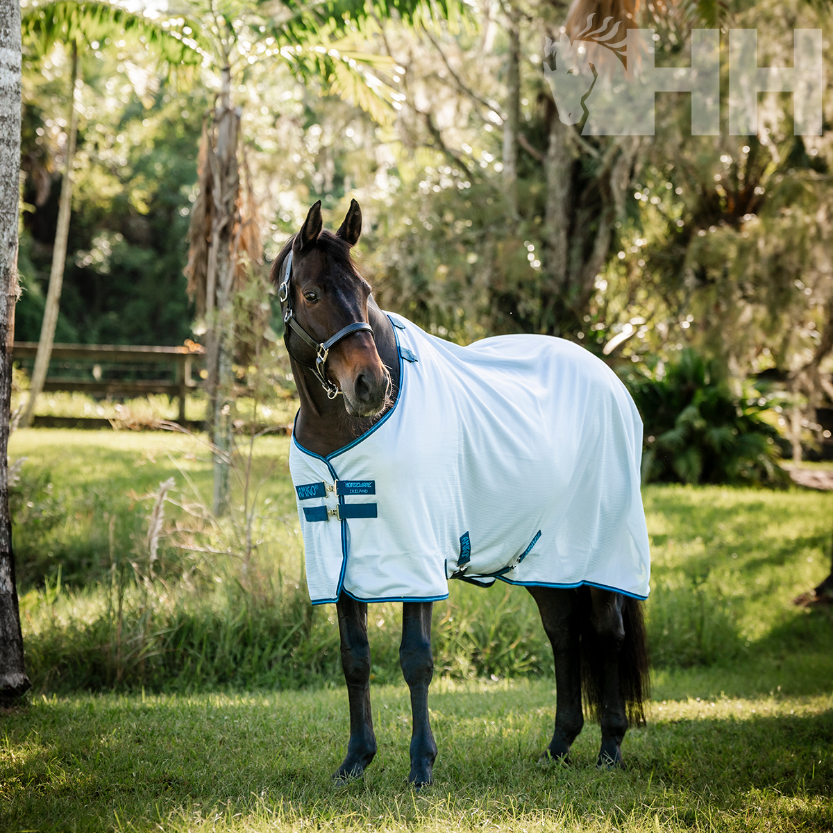 Cavalo com manta branca e azul claro num relvado