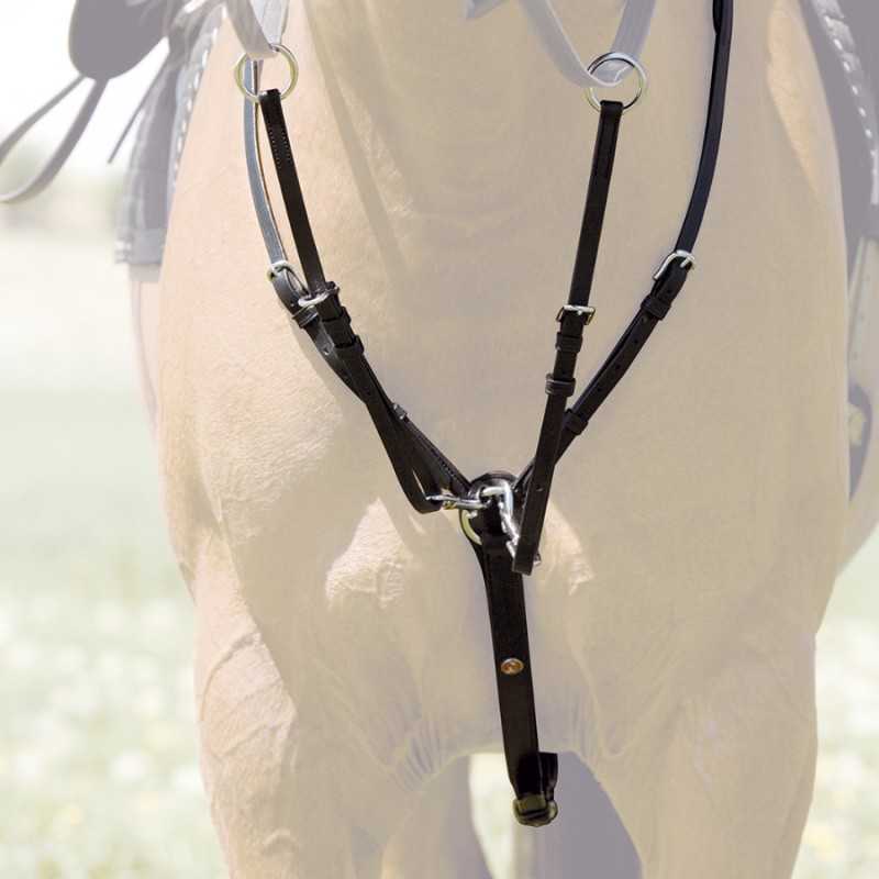 Arnês preto em cavalo de pelagem clara
