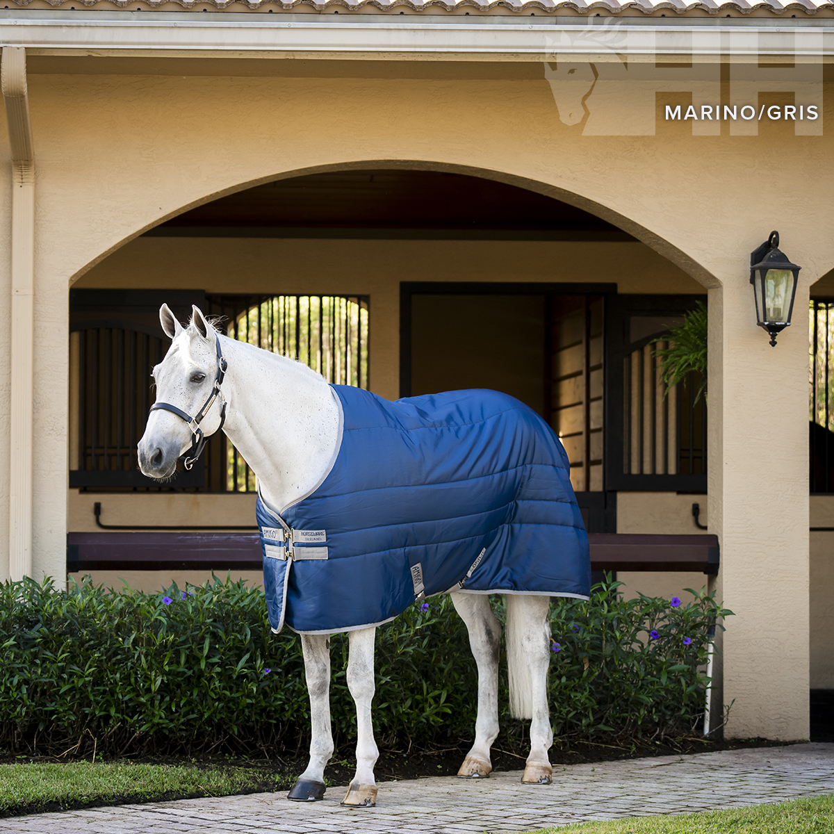 Cavalo branco com manta azul-marinho acolchoada frente a celeiro