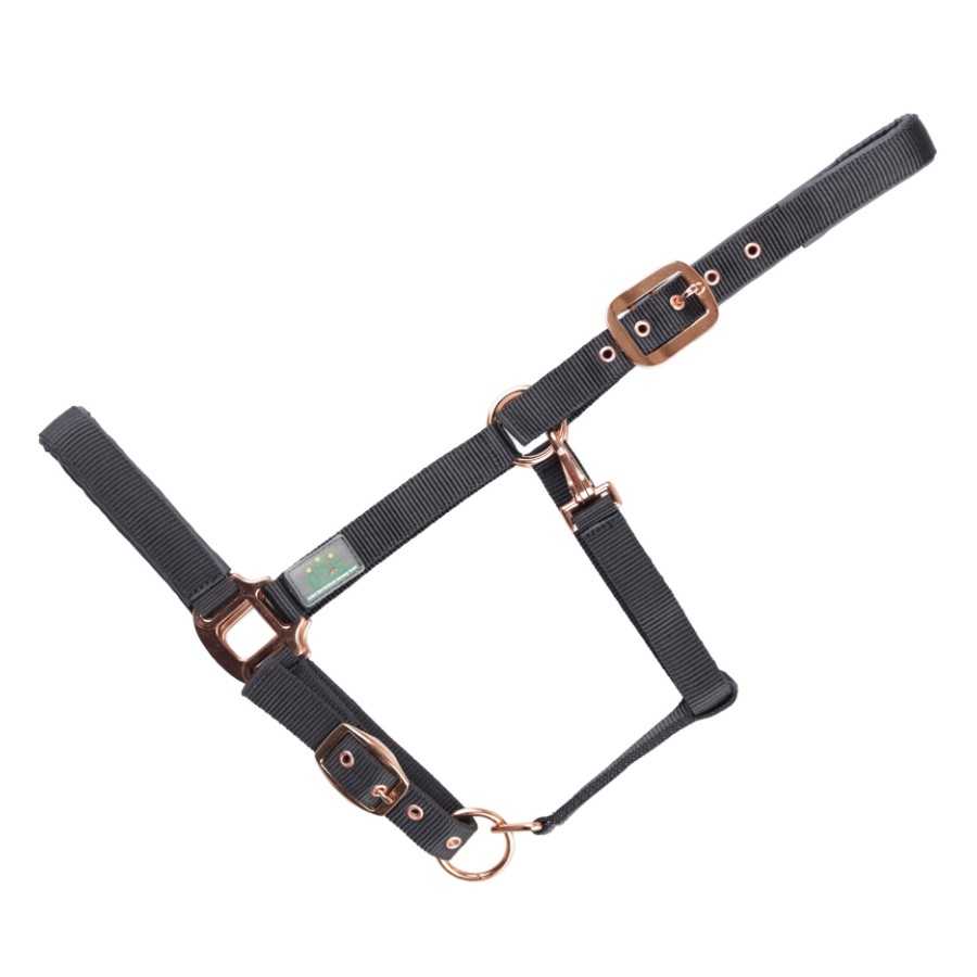 Cabresto preto com detalhes em metal cobre isolado