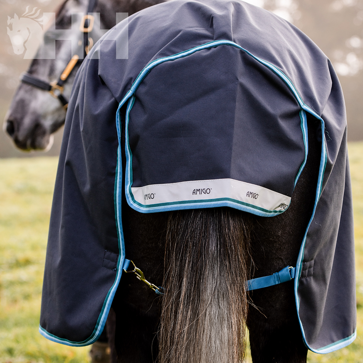 Capa azul escura para cavalo com detalhes em azul claro e texto AMIGO na faixa branca