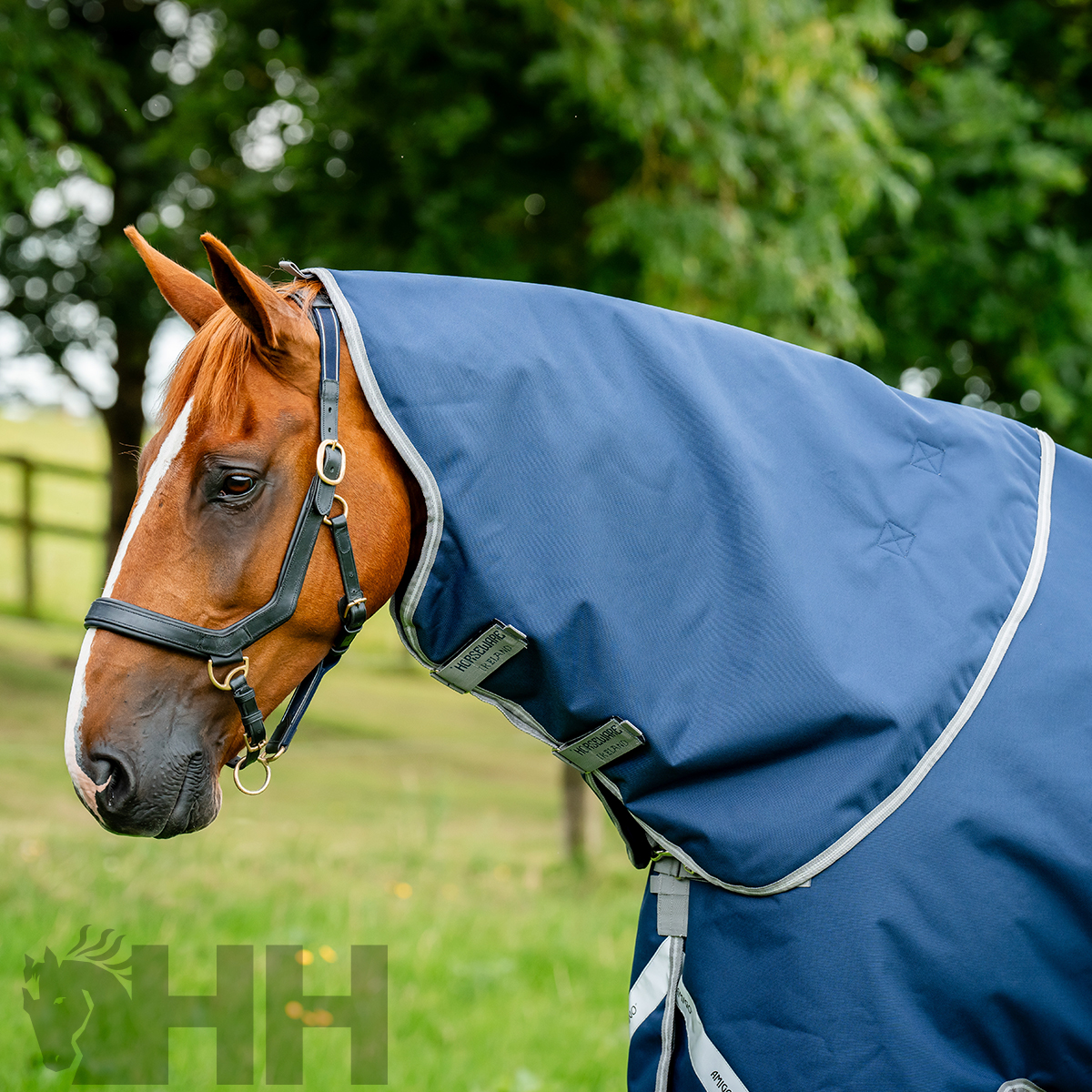 Cavalo com cobertor azul escuro em ambiente exterior com relva e árvores
