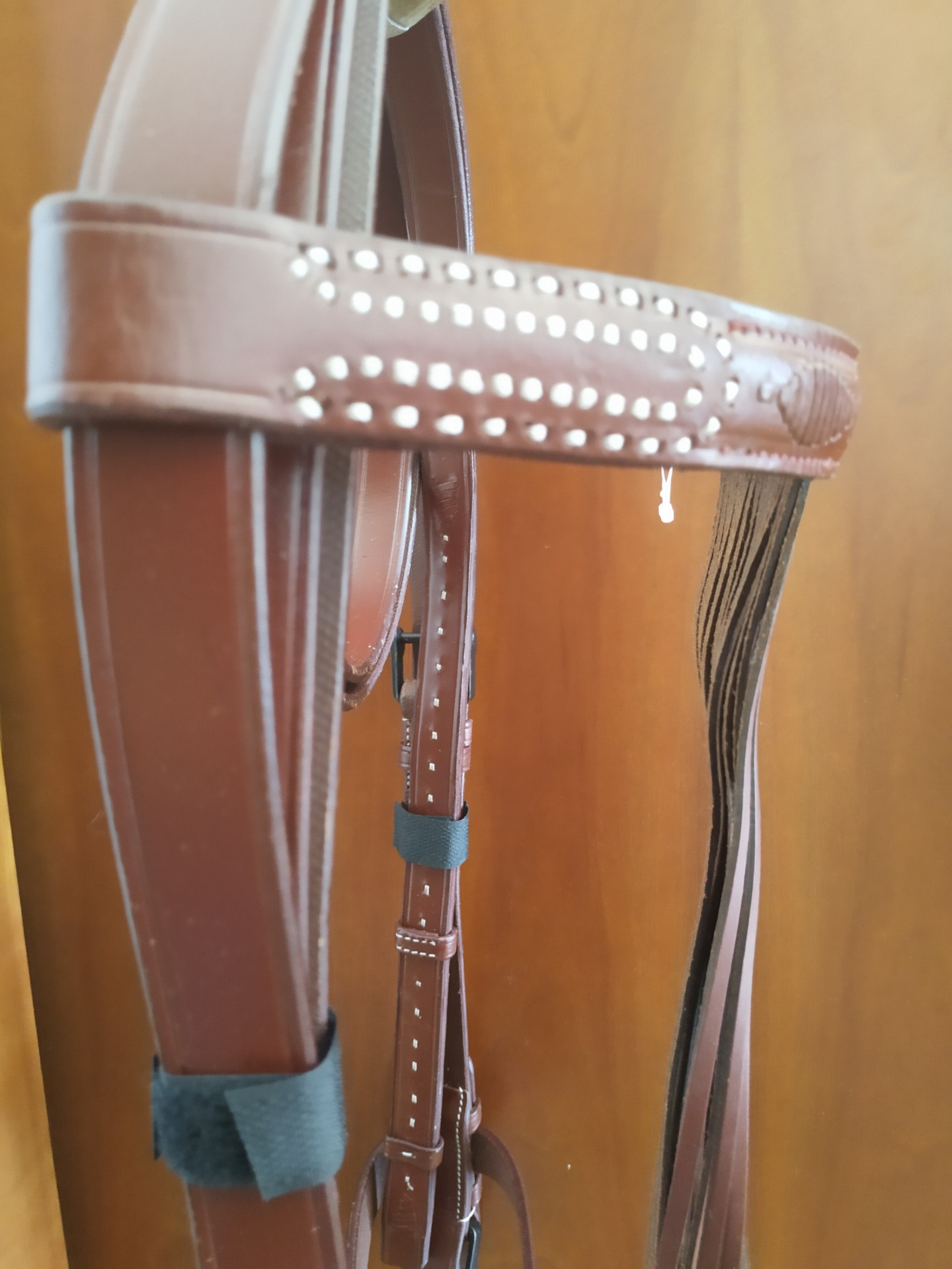 Bridão de equitação castanho com detalhes metálicos e fitas negras.