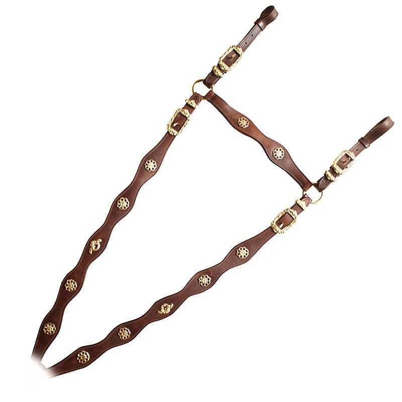 Correias de pele castanha com tachas e fivelas douradas