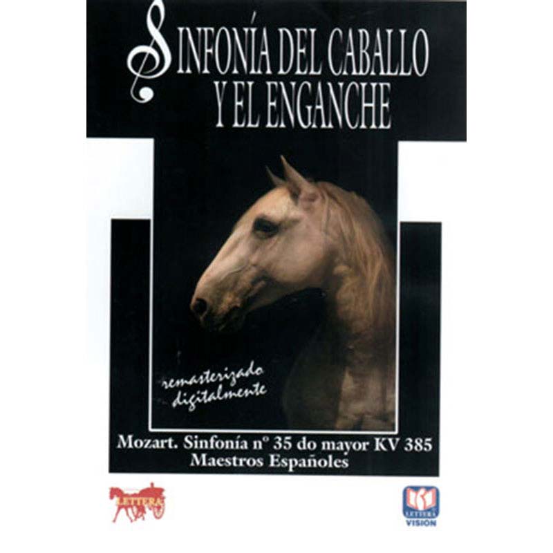 Capa de álbum musical com título e imagem de cavalo castanho