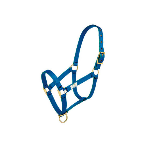 Cabresto azul de nylon com fivelas douradas