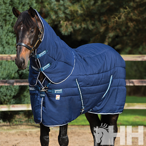 Cavalo com manta azul acolchoada em ambiente exterior