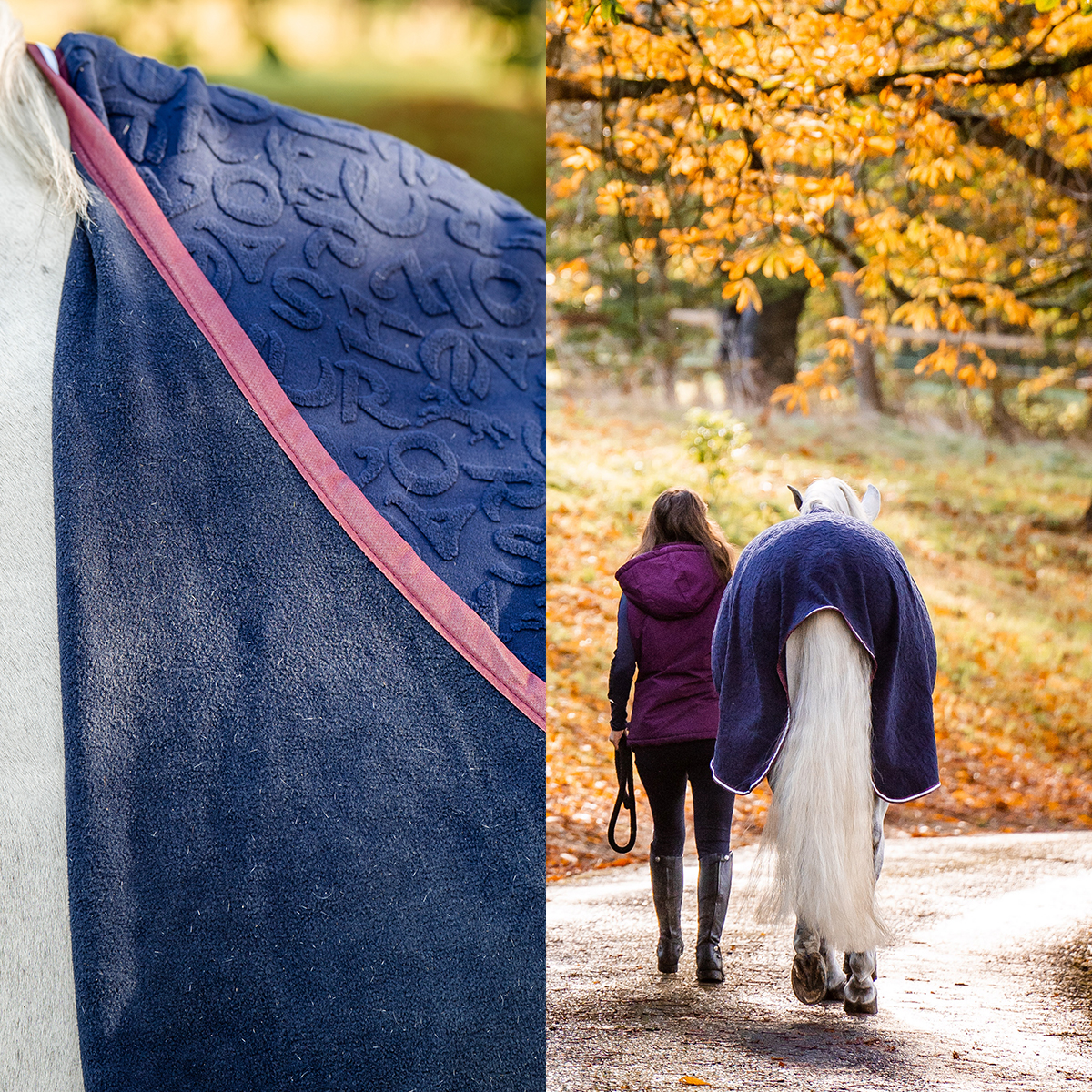 Cavalo com manta azul escura e pessoa a caminhar numa estrada outonal