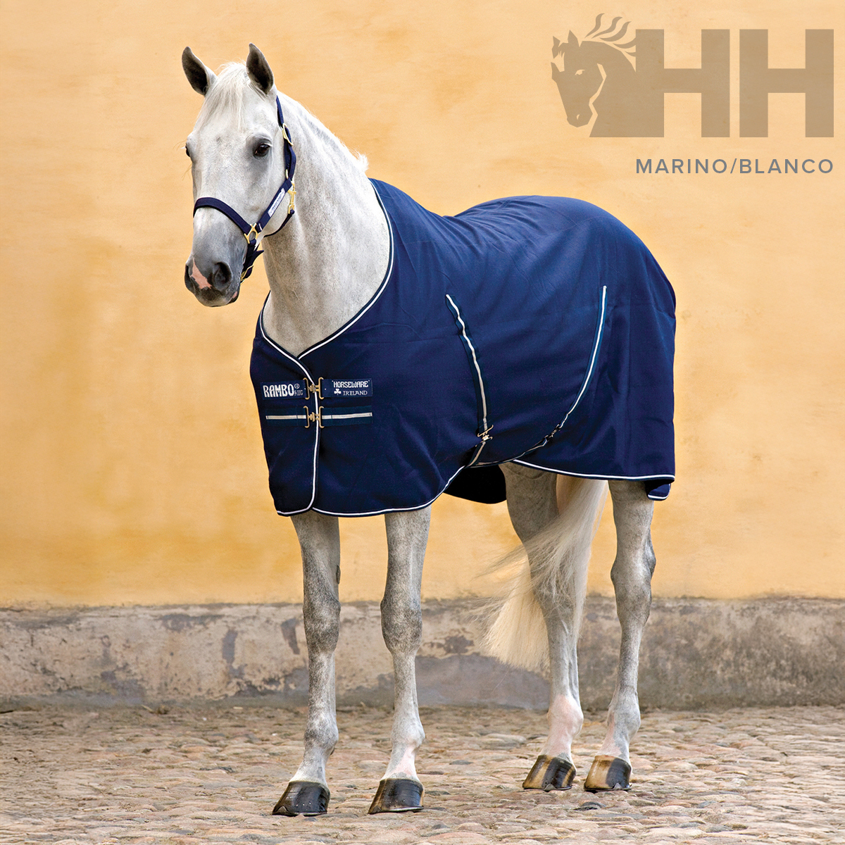 Cavalo branco com cobertor azul marinho com texto e correias a pé em chão de pedra
