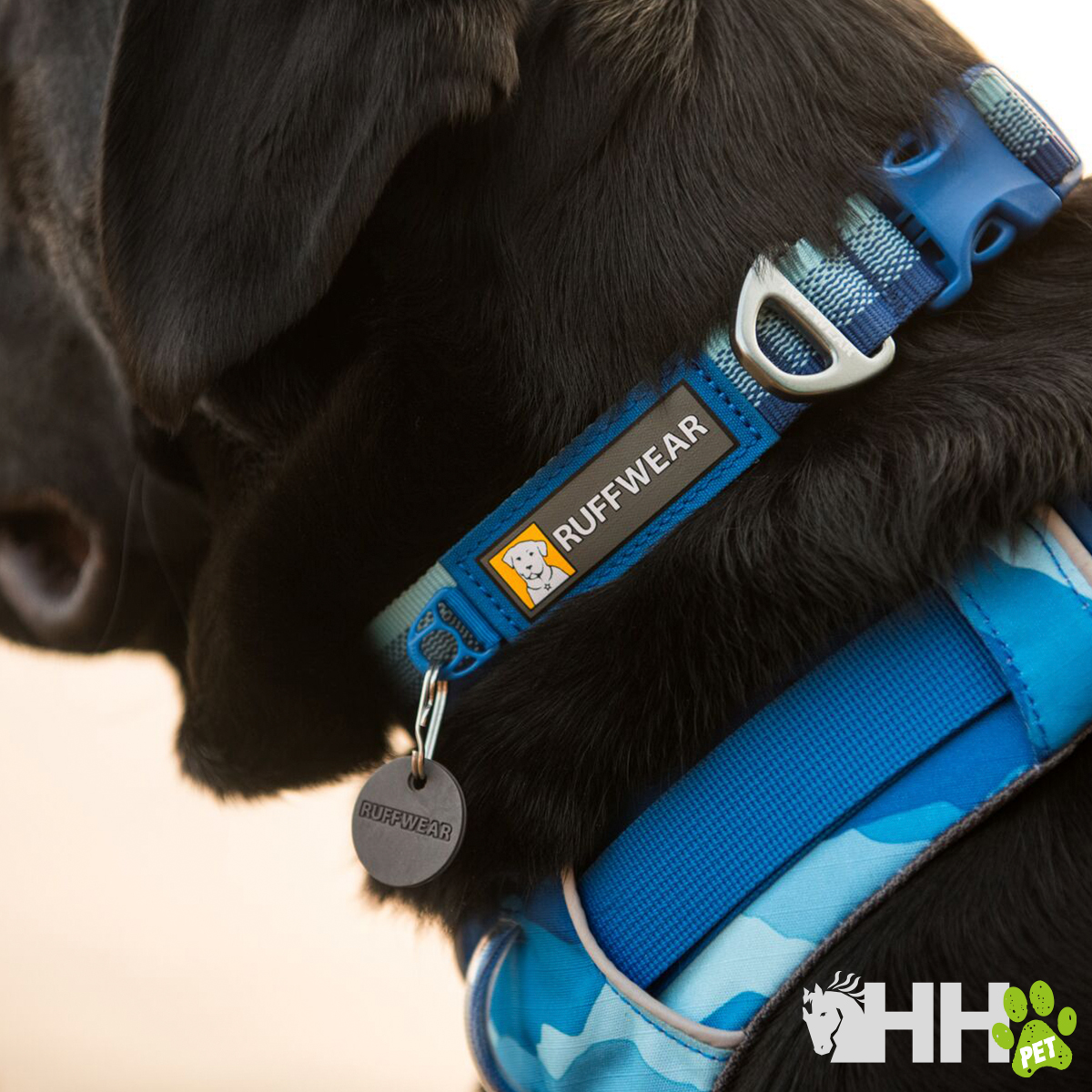 Coleira azul e cinzenta para cão da marca RUFFWEAR com fecho e anel metálico